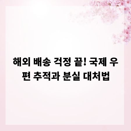 해외 배송 걱정 끝! 국제 우편 추적과 분실 대처법