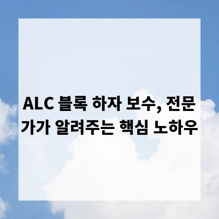 ALC 블록 하자 보수, 전문가가 알려주는 핵심 노하우