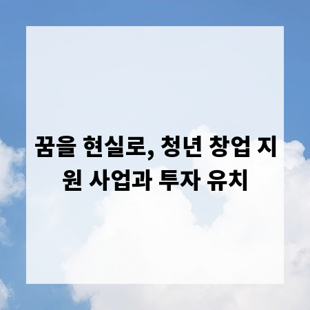 꿈을 현실로, 청년 창업 지원 사업과 투자 유치