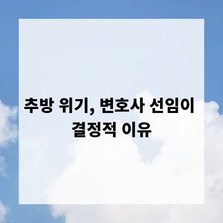 추방 위기, 변호사 선임이 결정적 이유