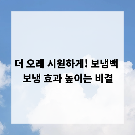 더 오래 시원하게! 보냉백 보냉 효과 높이는 비결