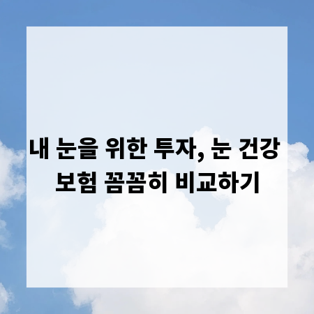 내 눈을 위한 투자, 눈 건강 보험 꼼꼼히 비교하기