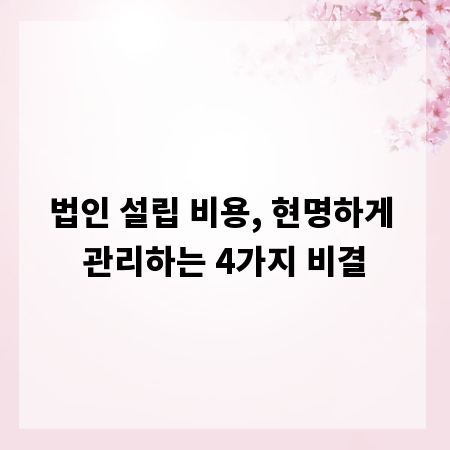 법인 설립 비용, 현명하게 관리하는 4가지 비결