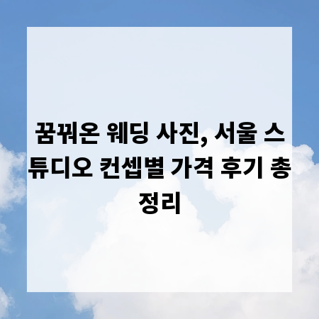 꿈꿔온 웨딩 사진, 서울 스튜디오 컨셉별 가격 후기 총정리