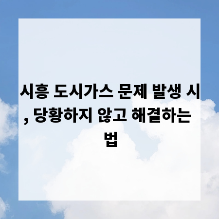 시흥 도시가스 문제 발생 시, 당황하지 않고 해결하는 법